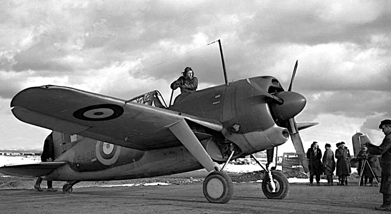 Brewster F2A Buffalo