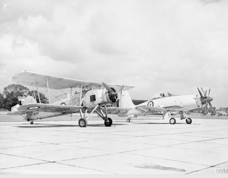stretton black cap swordfish nf 389 with westland wyvern   vz773   photo 2.jpg