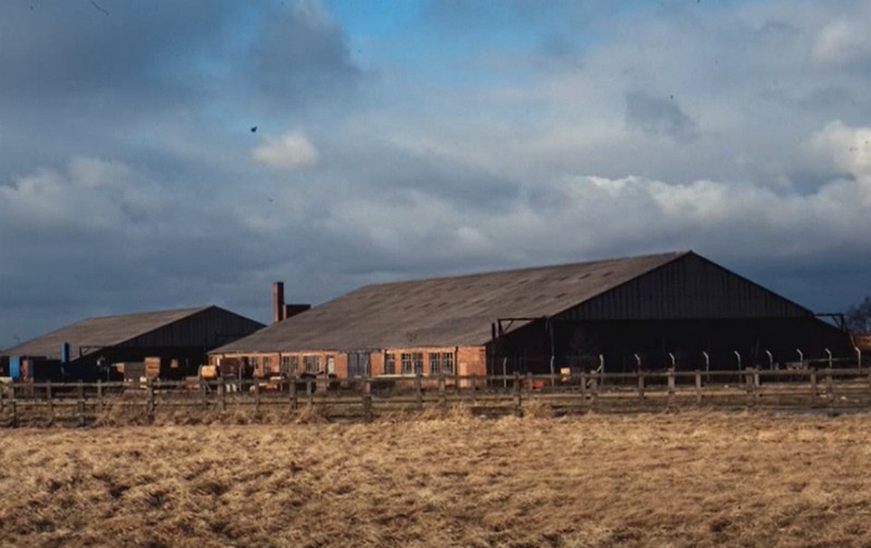 stretton new 10feb 1982 hangar gary.jpg